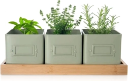 Σετ γλαστρών για βότανα GREENISH με βάση, 3 τεμ.