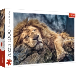 Παζλ 1000 κομματιών Κοιμισμένο λιοντάρι