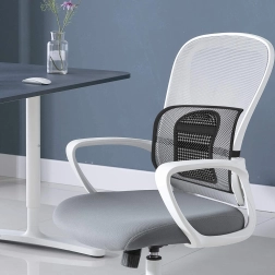 Ορθοπεδική στήριξη πλάτης