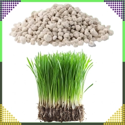 Πολυσύνθετο λίπασμα για γκαζόν NPK 20-8-10 κοκκώδες 10 kg