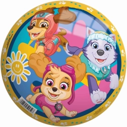 Μπάλα PAW PATROL 23 cm περλέ