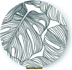 Καθρεφτάκι Monstera