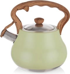 Σφυρίζουσα ανοξείδωτη τσαγιέρα GREENISH 3 l