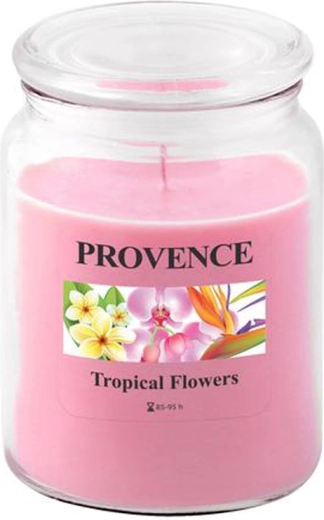 Αρωματικό κερί σε γυάλινο δοχείο PROVENCE τροπικά λουλούδια 95 ώρες