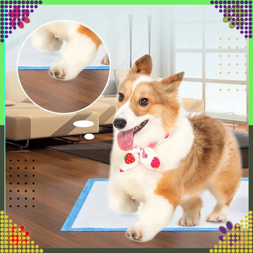 Άνεση για κουτάβια και ηλικιωμένους σκύλους