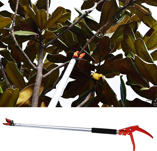 Εύκολο κλάδεμα σε ύψος χωρίς σκάλα