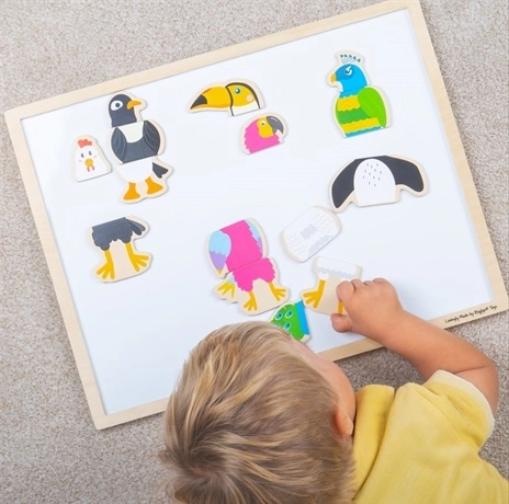 Ξύλινοι μαγνήτες Φτερωτοί φίλοι BIGJIGS TOYS
