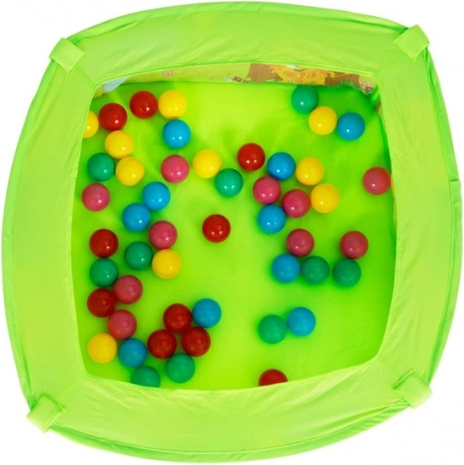 Πολύχρωμη διασκέδαση με 50 μπαλάκια