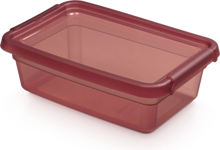 Basestore κουτί αποθήκευσης με καπάκι και κλιπ 3 l, 19 × 28 × 9 cm, Rhubarb