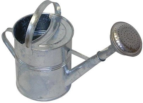 Γαλβανισμένο κηπουρικό ποτιστήρι 5 l με ροζέτα