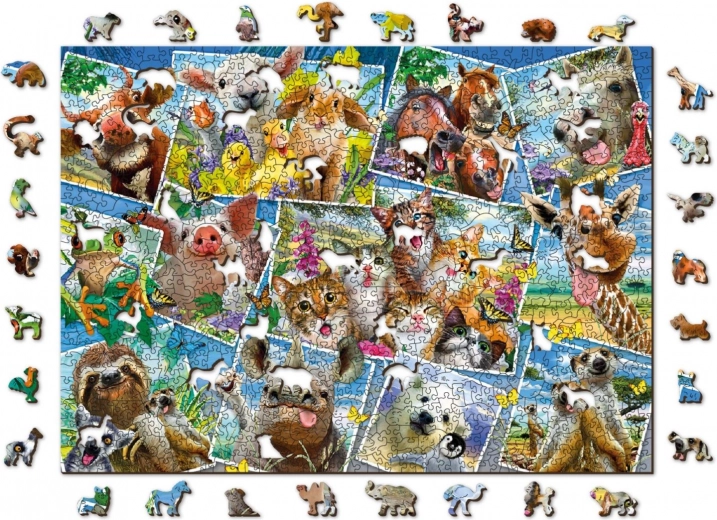 Πολύχρωμο κολάζ ζώων – υπέροχη διακόσμηση μετά τη συναρμολόγηση