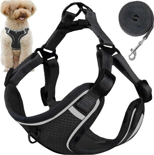 Ασφαλής αντι-έλξης σαμαράκι για μικρούς σκύλους και γάτες με λουρί 150 cm, μέγεθος M