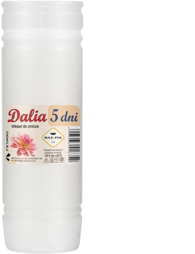 Σετ 10 παραφινικών φυσιγγίων Dalia 19 cm / 120 ώρες