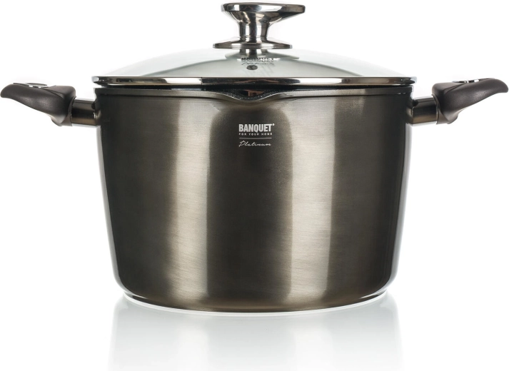 Κατσαρόλα με αντικολλητική επίστρωση 6,2 l METALLIC PLATINUM, 24 cm με γυάλινο καπάκι