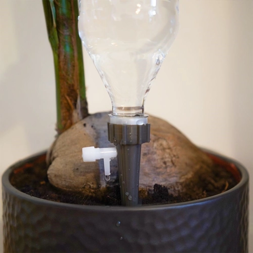 Σταθερή αγκύρωση στη γλάστρα