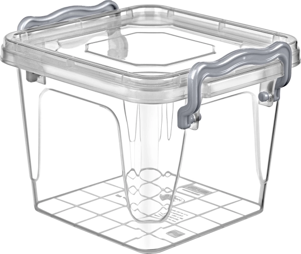 Δοχείο τροφίμων Multi Box 0,55 l με κλιπ