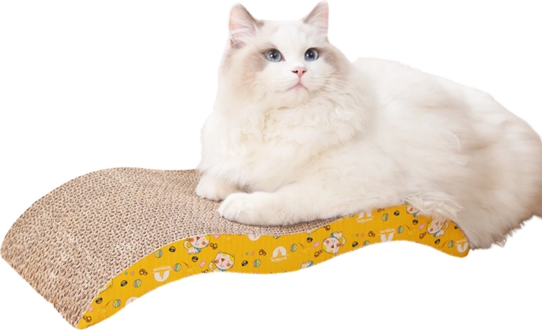 Χώρος για ξύσιμο και χαλάρωση