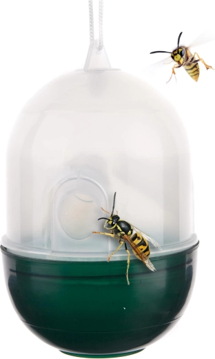 Παγίδα σφηκών πλαστική διαφανής/πράσινη 8 × 11 cm