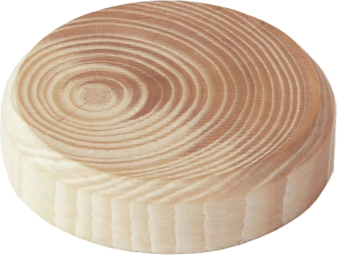 Ξύλινα βυσμάτα κλαδιών 40 × 7 mm, 8 τεμ.