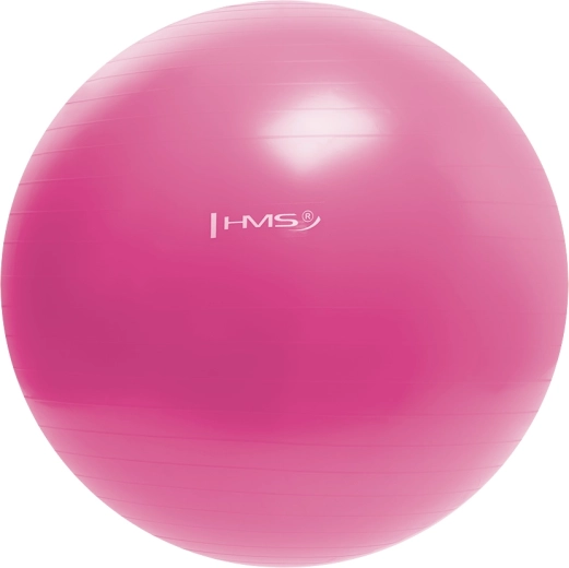 Γυμναστική μπάλα HMS 55 cm ροζ