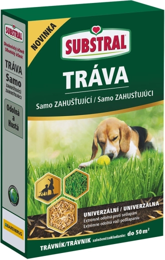Αυτοπυκνούμενο μείγμα γκαζόν EVERGREEN 1 kg