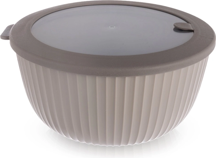 Μπολ κουζίνας με καπάκι 21 cm, 2,5 l