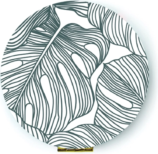 Καθρεφτάκι Monstera