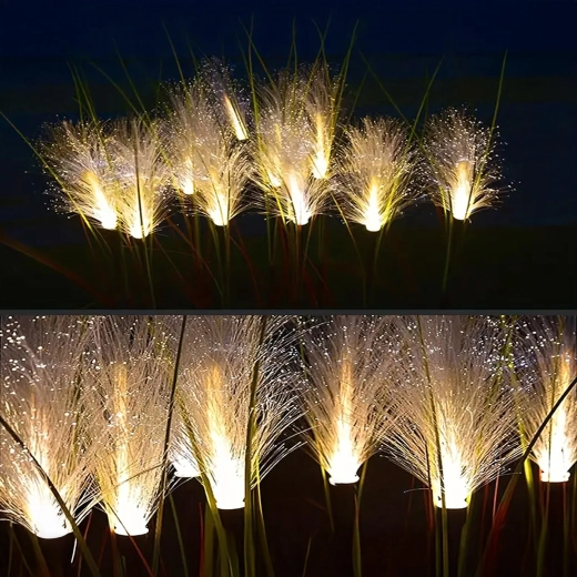 Εντυπωσιακό εφέ ινών pampas grass