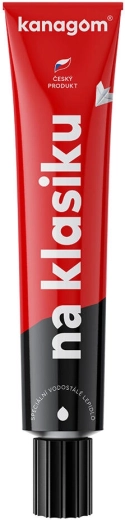 Αδιάβροχη κόλλα Kanagom 40 g