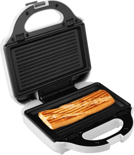 Τραγανά panini και ψητές σπεσιαλιτέ