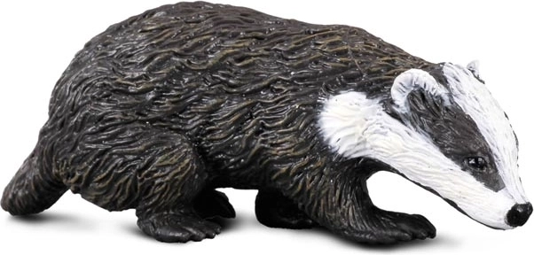 Collecta ασβός
