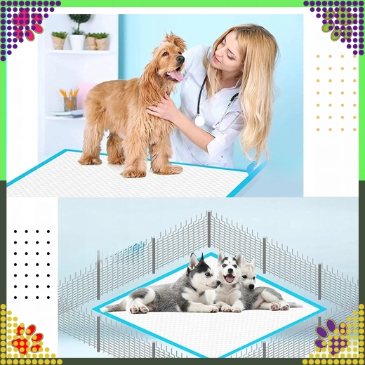 Καθαριότητα στο σπίτι και στα ταξίδια