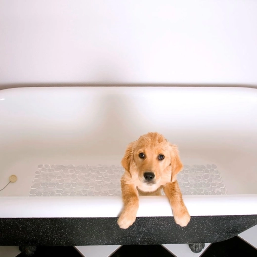 Άνεση και προστασία των πελμάτων