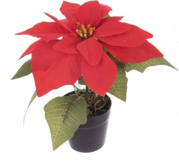 Τεχνητό χριστουγεννιάτικο αλεξανδρινό (poinsettia) σε γλάστρα, κόκκινο 19 cm