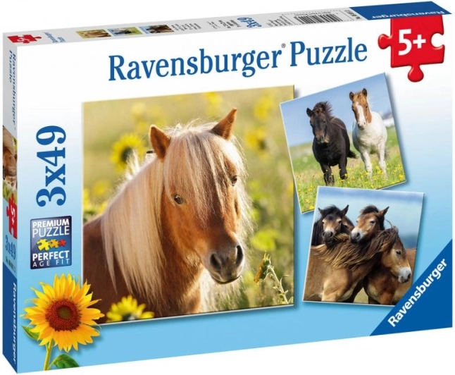 Ravensburger παζλ χαριτωμένα άλογα 3×49 κομμάτια
