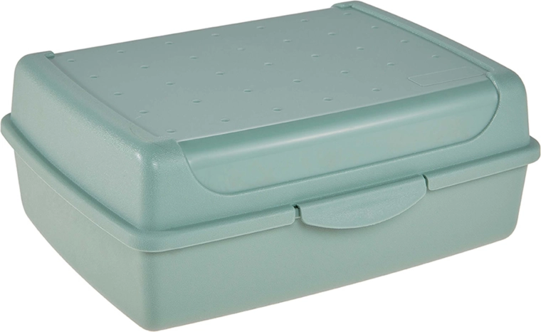 Δοχείο φαγητού (lunch box) σκανδιναβικό πράσινο 30 × 20 × 8,5 cm