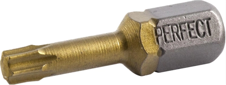 Μύτη (bit) TORX T25 25 mm (2 τεμ.) STALCO TITAN