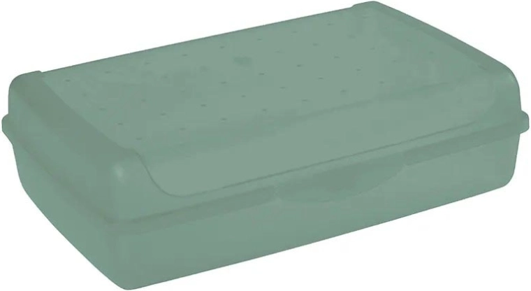 Luca click box maxi – πράσινο κουτί αποθήκευσης με καπάκι 3,7 l