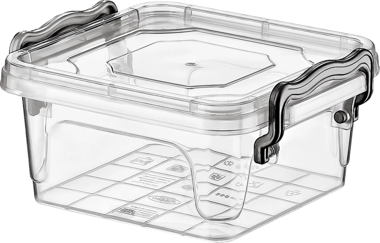 Τετράγωνο δοχείο τροφίμων MULTI BOX 0,35 l