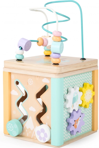 Ξύλινος εκπαιδευτικός κύβος Ecotoys