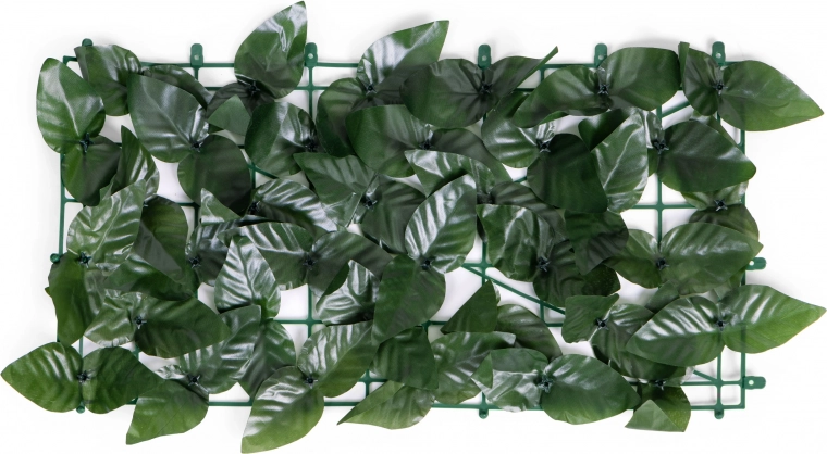 Φυσική όψη φύλλων όλο τον χρόνο