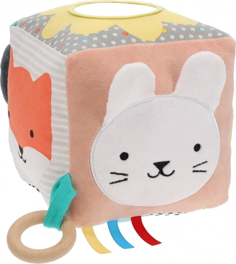 Αισθητηριακή διέγερση