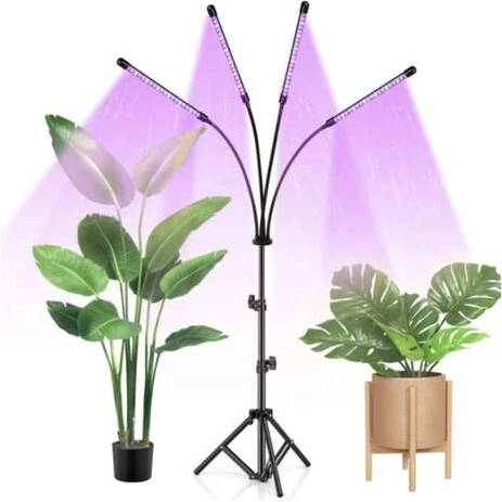 Τρεις λειτουργίες φωτισμού για κάθε στάδιο ανάπτυξης