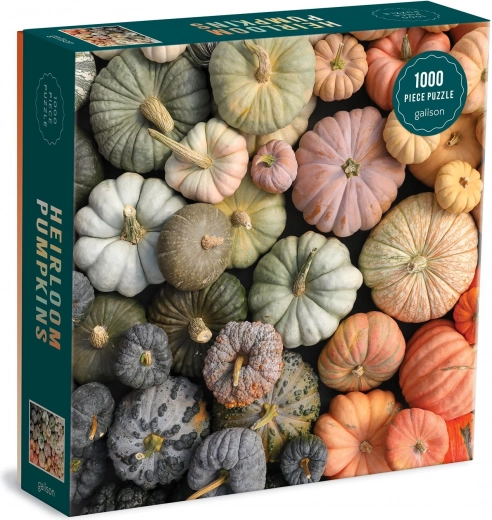 Premium μοτίβο «Heirloom Pumpkins»
