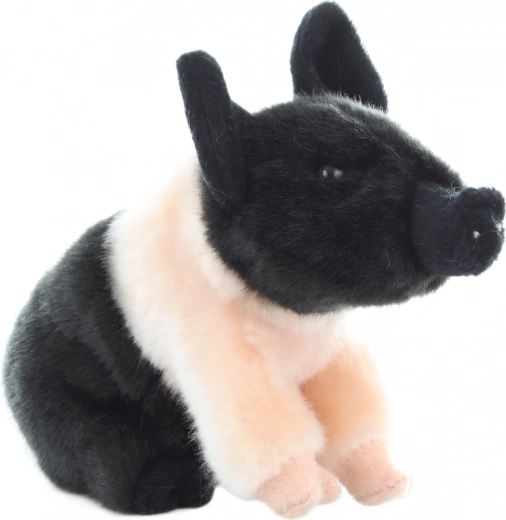 Ασφαλές από τη γέννηση