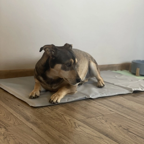 Εύκολη συντήρηση και αποθήκευση