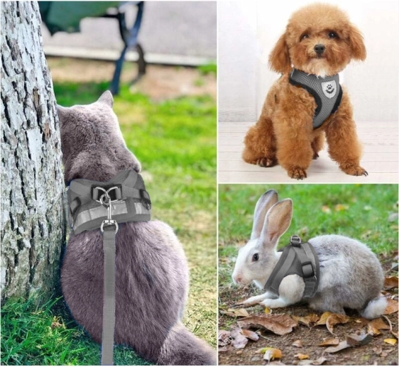 Καθολική για σκύλους, γάτες και κουνέλια