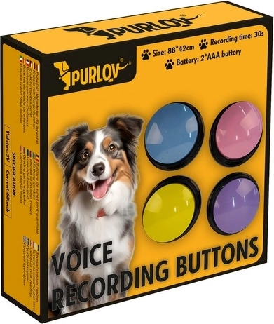 Πολύχρωμος και ελκυστικός σχεδιασμός