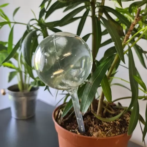 Άνετες και αποτελεσματικές