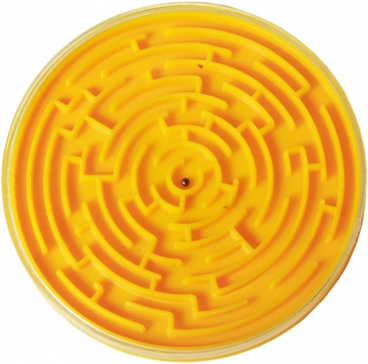 Συμπαγής και φορητός σχεδιασμός